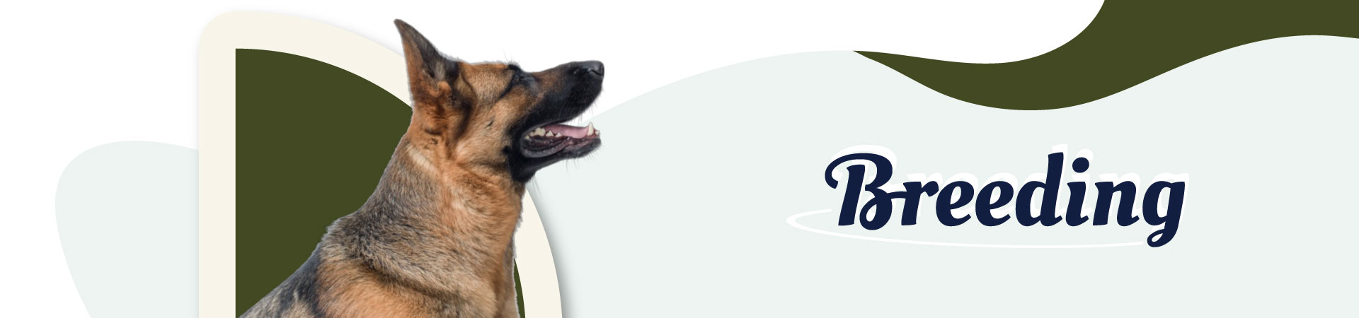 <a href="https://nabu-kennels.com/breeding">Breeding</a>