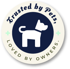 dog care loved by owners