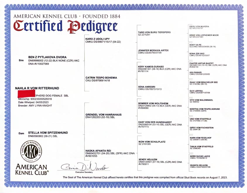 nahla pedigree